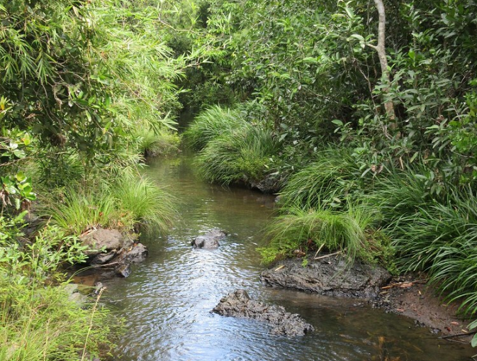 FARM LOT FOR SALE IN PUERTO PRINCESA,PALAWAN